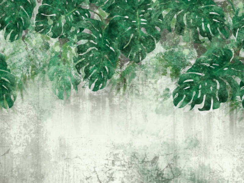Fototapeta Monstera-Blätter