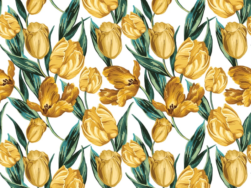 Fototapeta Gelbe Tulpen, Zeichnung