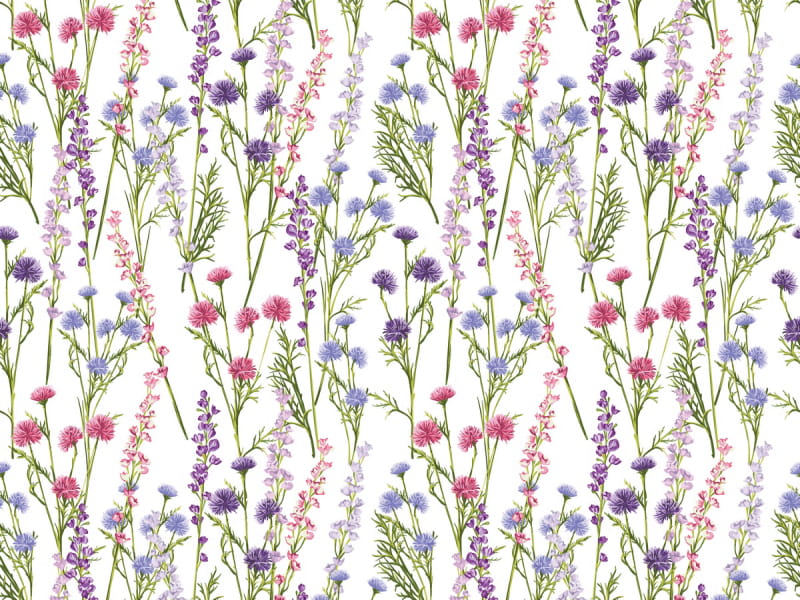 Fototapeta Frühlingswiesenblumen