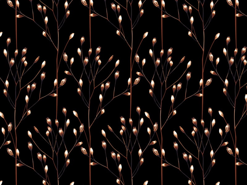Fototapeta Zarte Wiesenblumen