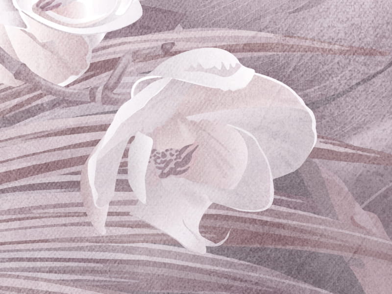 Fototapeta Palmblätter auf rosa Hintergrund fragment #2