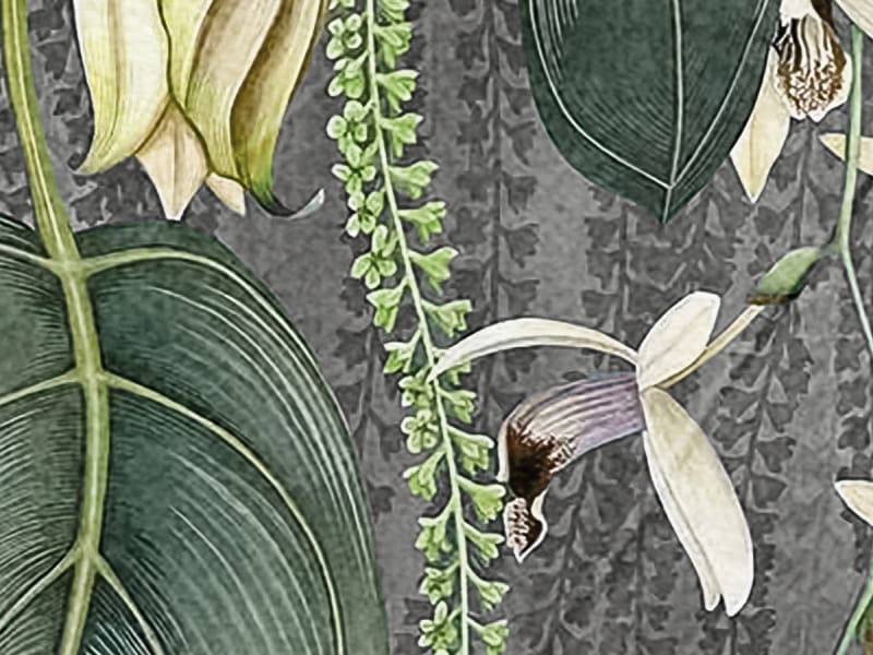 Fototapeta Hängende Blumen oder Li fragment #2
