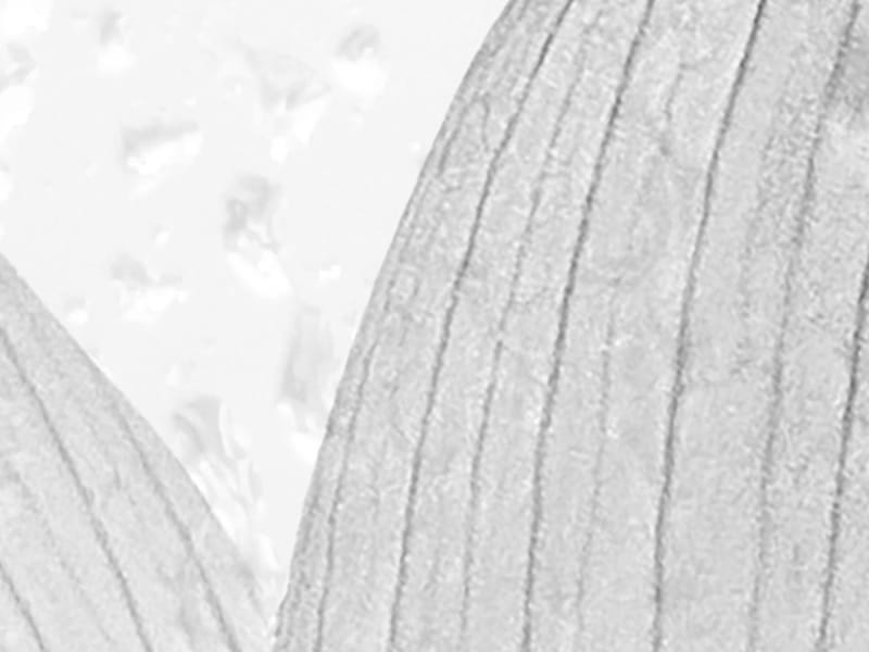 Fototapeta Schwarz-Weiß-Magier fragment # 1