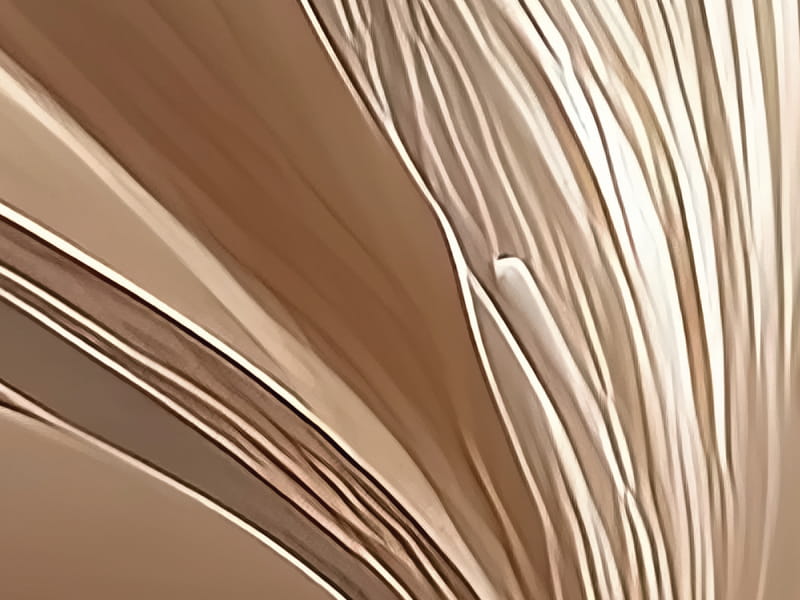 Fototapeta Beige Blume fragment #2