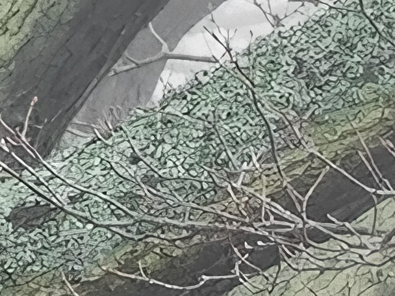 Fototapeta Mythische Bäume fragment # 1