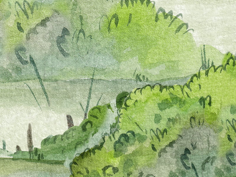 Fototapeta Wundervolles Reh im Wald fragment #2
