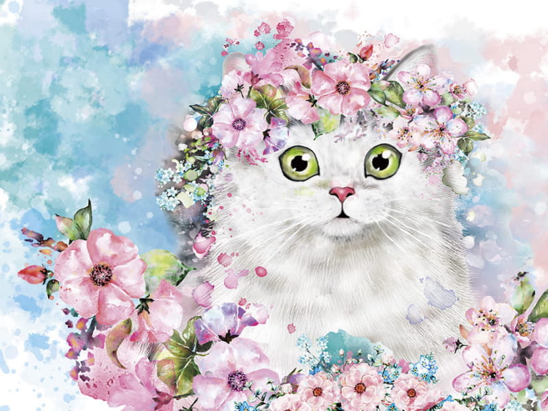 Fototapeta Grünäugige Katze