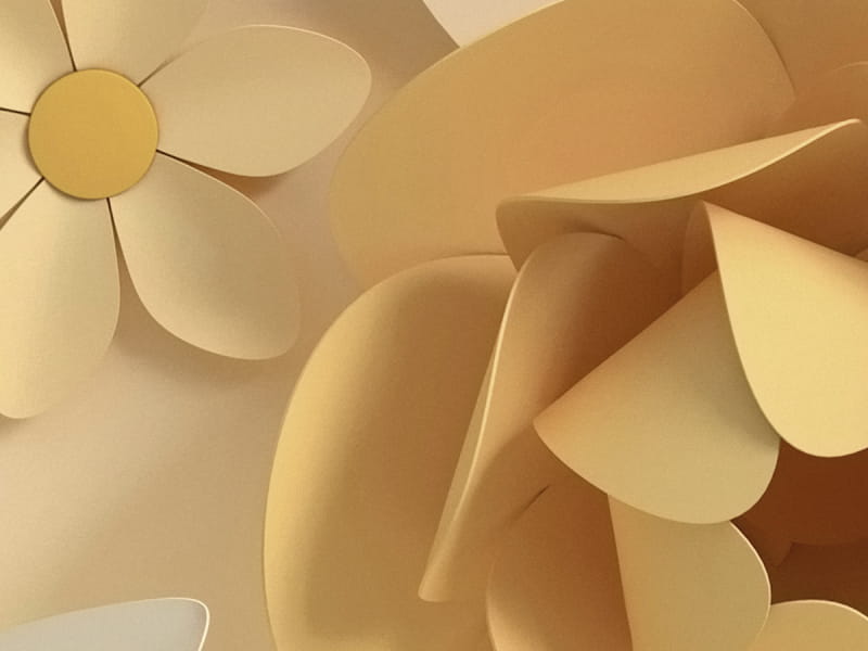 Fototapeta Gelbe Blumen 3D fragment # 1