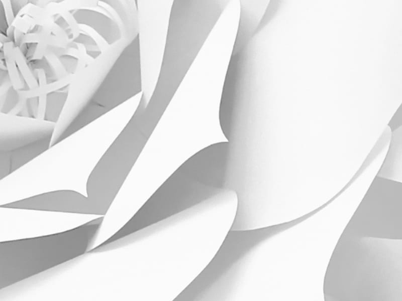 Fototapeta Schneeweiße Blumen 3D fragment # 1