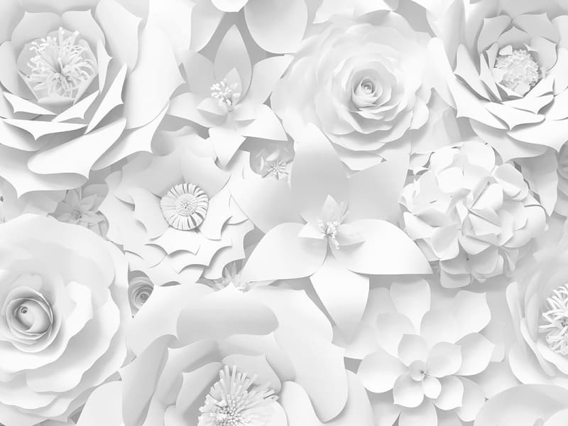 Fototapeta Schneeweiße Blumen 3D