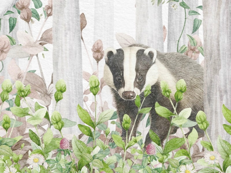 Fototapeta Tiere des Feenwaldes fragment # 1