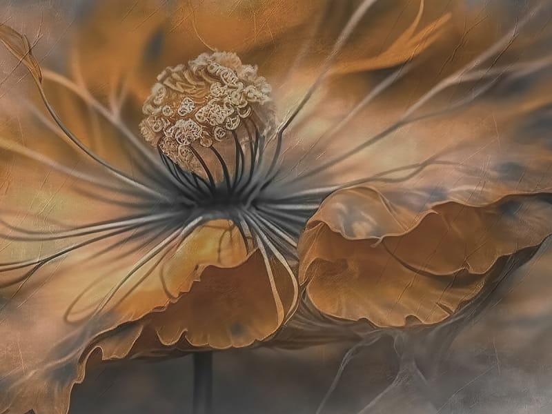Fototapeta Orangefarbener Ball fragment # 1