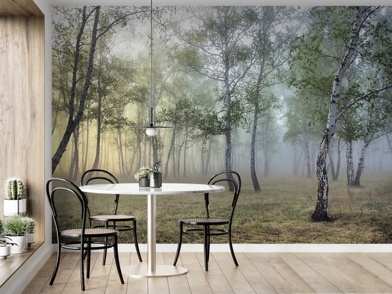 Fototapeta 3D-Birke we wnętrzu kuchni