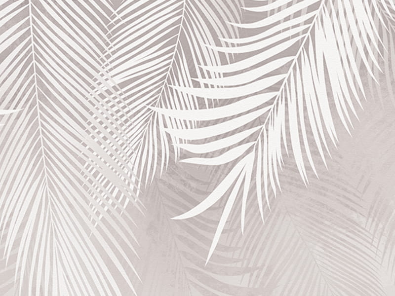 Fototapeta Palmblätter auf hellem Hintergrund fragment # 1