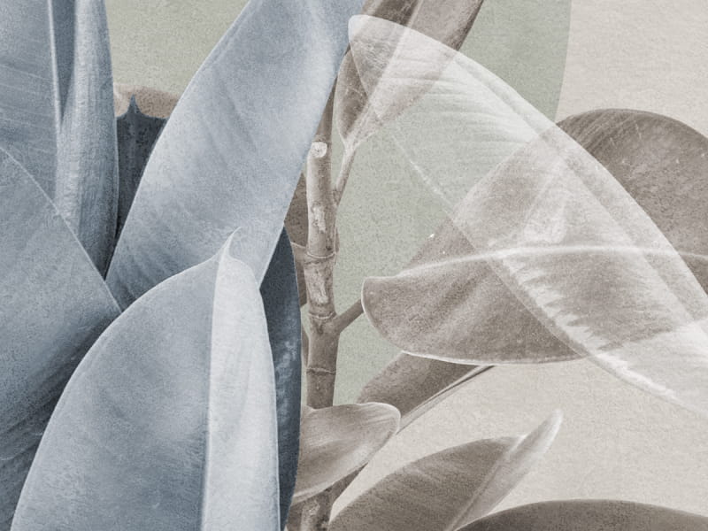 Fototapeta Wunderschönes Fiku fragment # 1