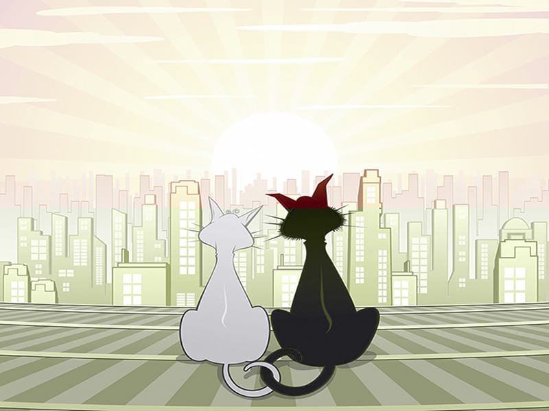 Fototapeta Gezeichnete Katzen