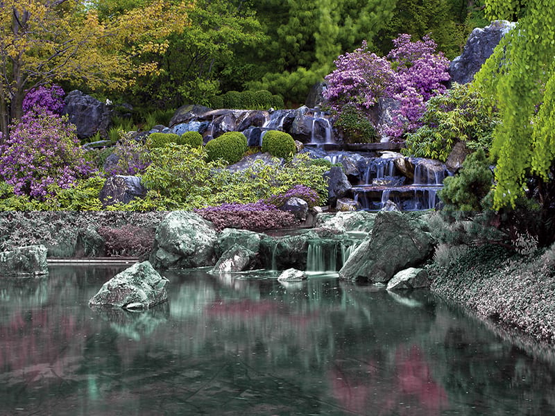Fototapeta Wasserfall in einem blühenden Garten