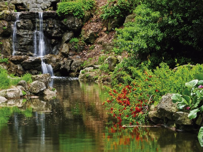 Fototapeta Kleiner Wasserfall im Wald