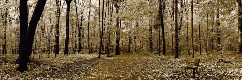 Fototapeta Herbstpanorama