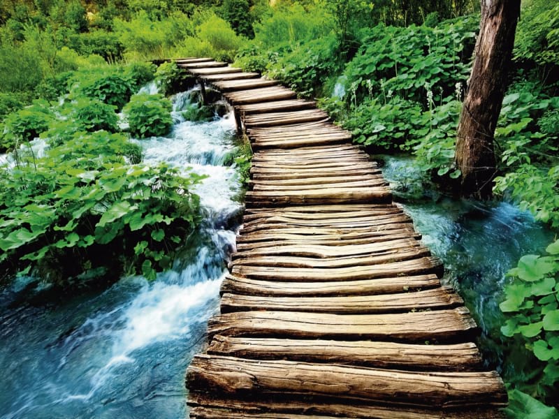 Fototapeta Holzbrücke