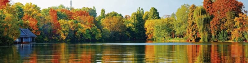 Fototapeta Panorama der Herbstnatur