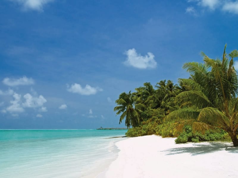 Fototapeta Kleiner tropischer Strand