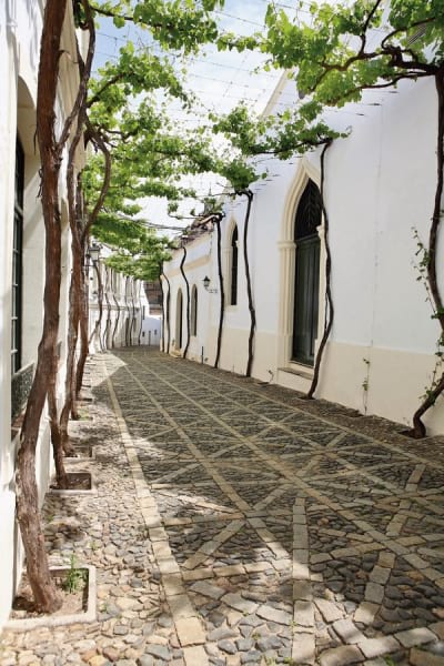 Fototapeta Helle Straße