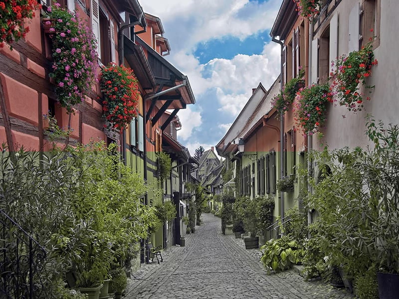 Fototapeta Blumenstraße in Europa
