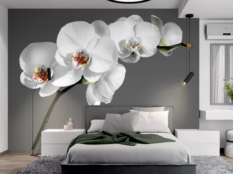 Fototapeta Zarte Orchideen we wnętrzu sypialni