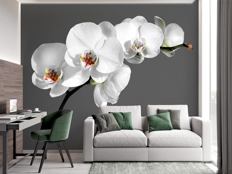 Fototapeta Zarte Orchideen we wnętrzu pokoju nastolatka