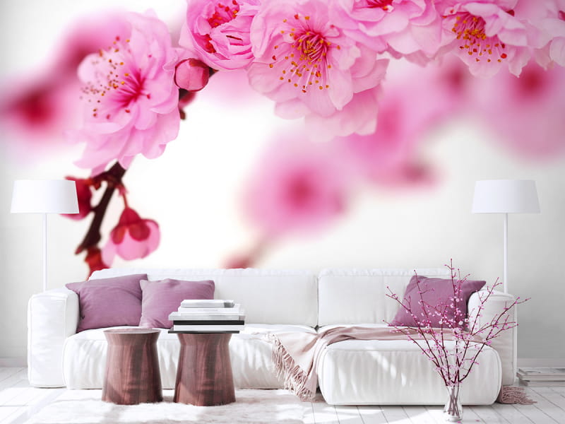 Fototapeta Kirschblüten we wnętrzu salonu