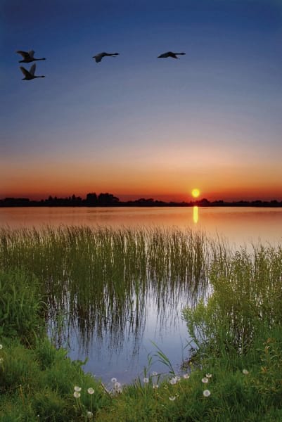 Fototapeta Frühlingssonnenuntergang