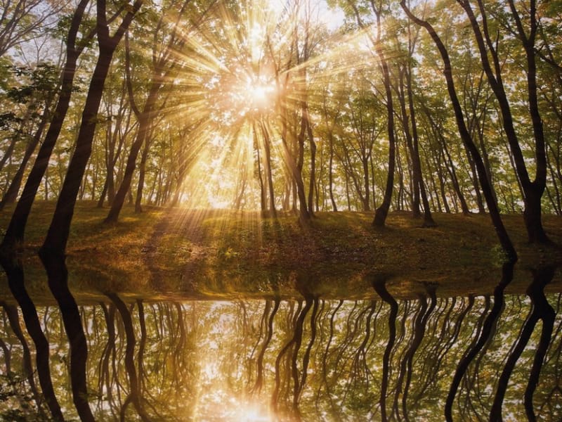 Fototapeta Naturdämmerung