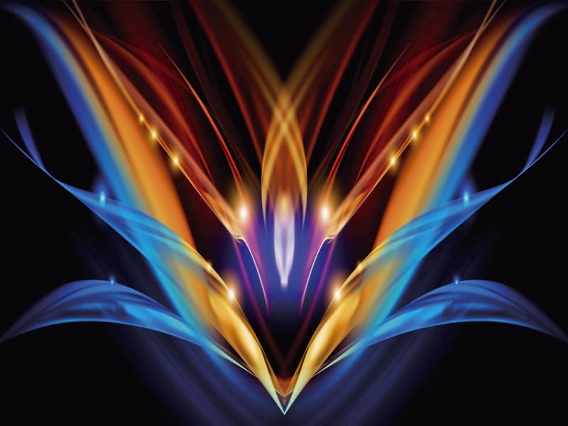 Fototapeta Warme Blume