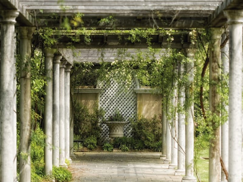 Fototapeta Säulen im Garten