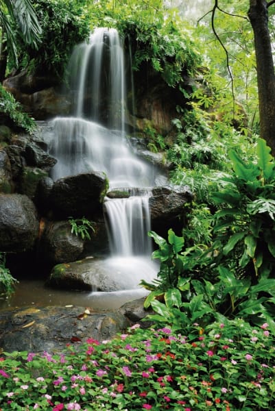 Fototapeta Kleiner Wasserfall
