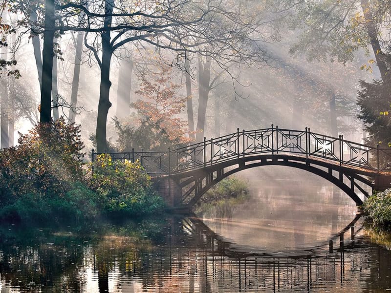 Fototapeta Herbstpark