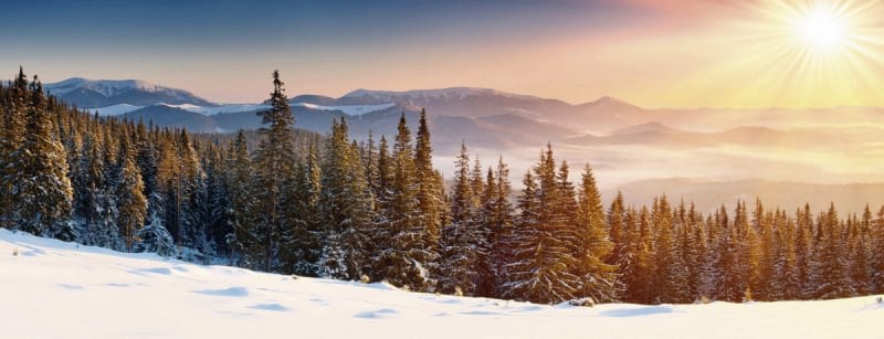 Fototapeta Winterlandschaft