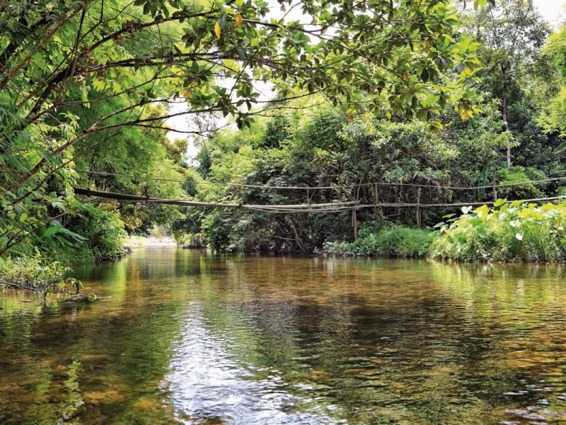 Fototapeta Kleine Brücke über den Fluss