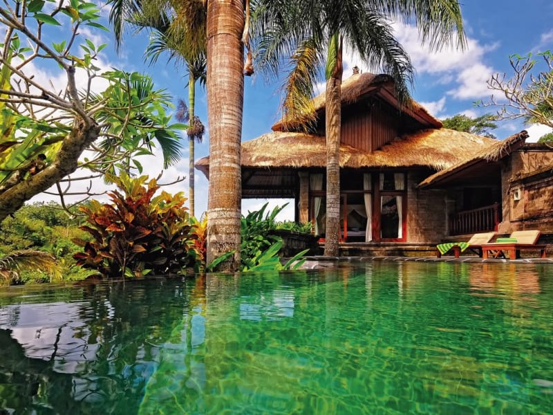 Fototapeta Natur von Bali