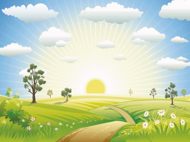 Fototapeta Sommerwiese
