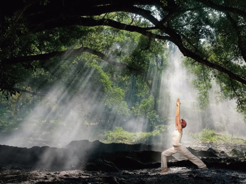 Fototapeta Der Weg des Yoga