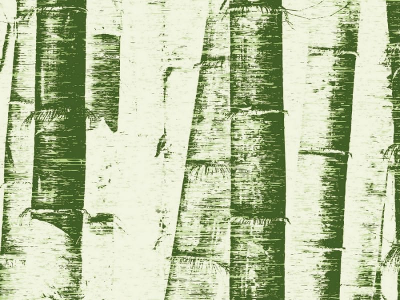 Fototapeta Bambuszeichnung
