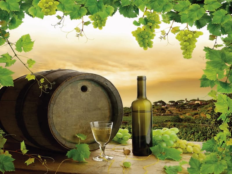 Fototapeta Wein und Trauben