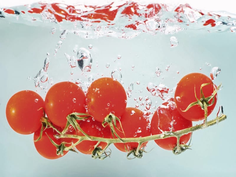Fototapeta Tomaten