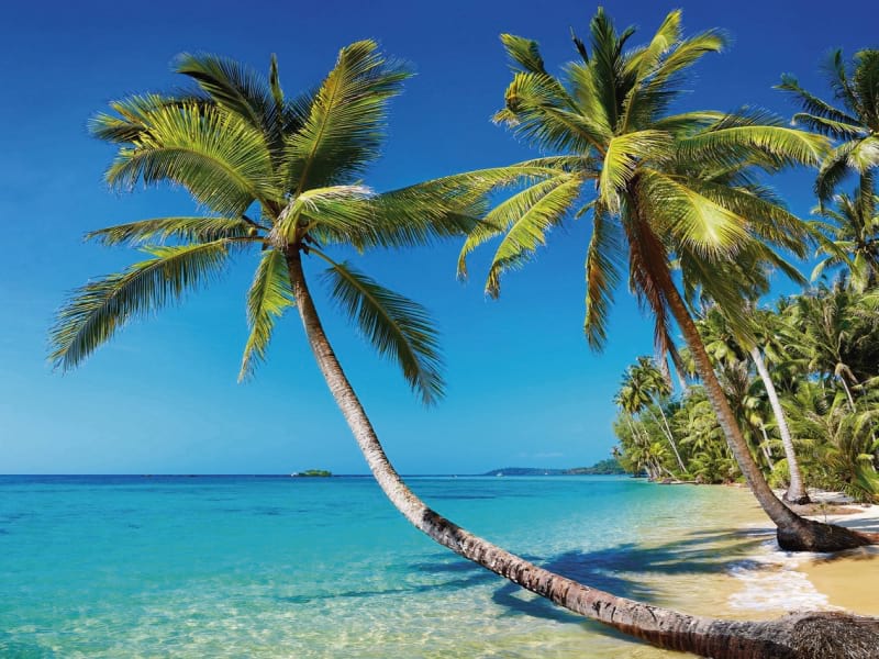 Fototapeta Strand in Thailand