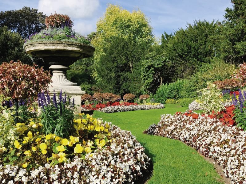 Fototapeta Großer blühender Garten