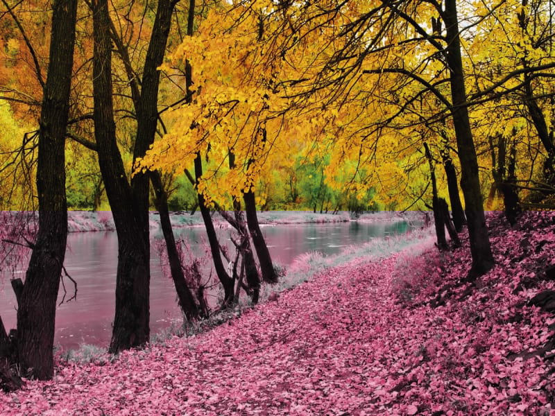 Fototapeta Herbstlandschaft