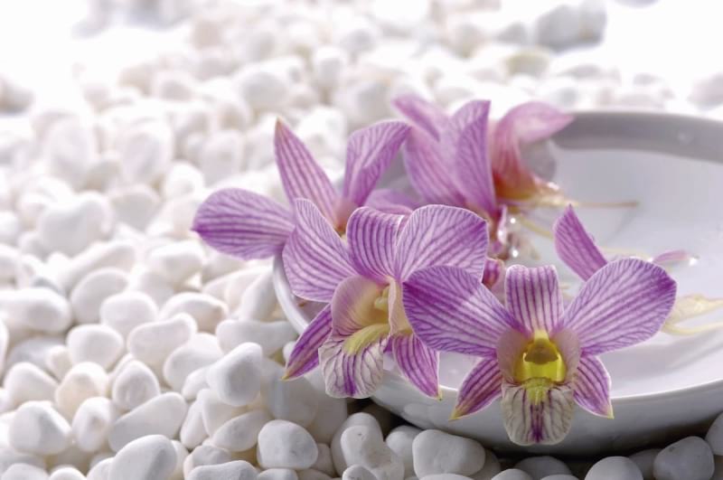 Fototapeta Orchideen und weiße Steine