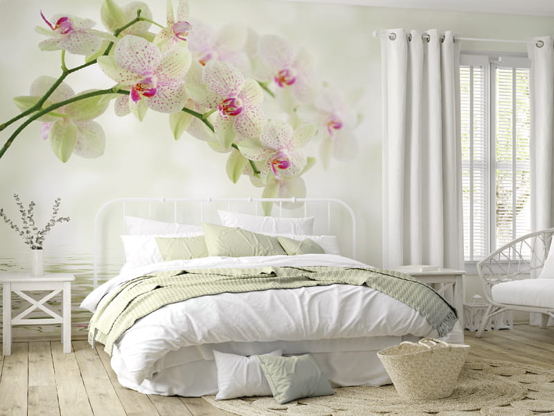 Fototapeta Weiße Orchideen we wnętrzu sypialni